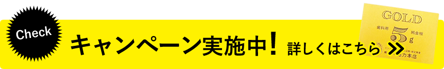 キャンペーン実施中！